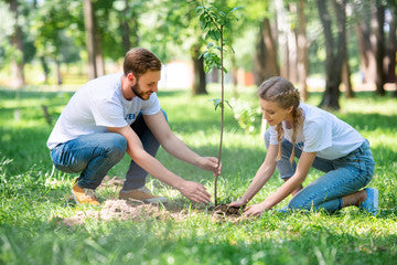 Promoting Vitality and Well-Being